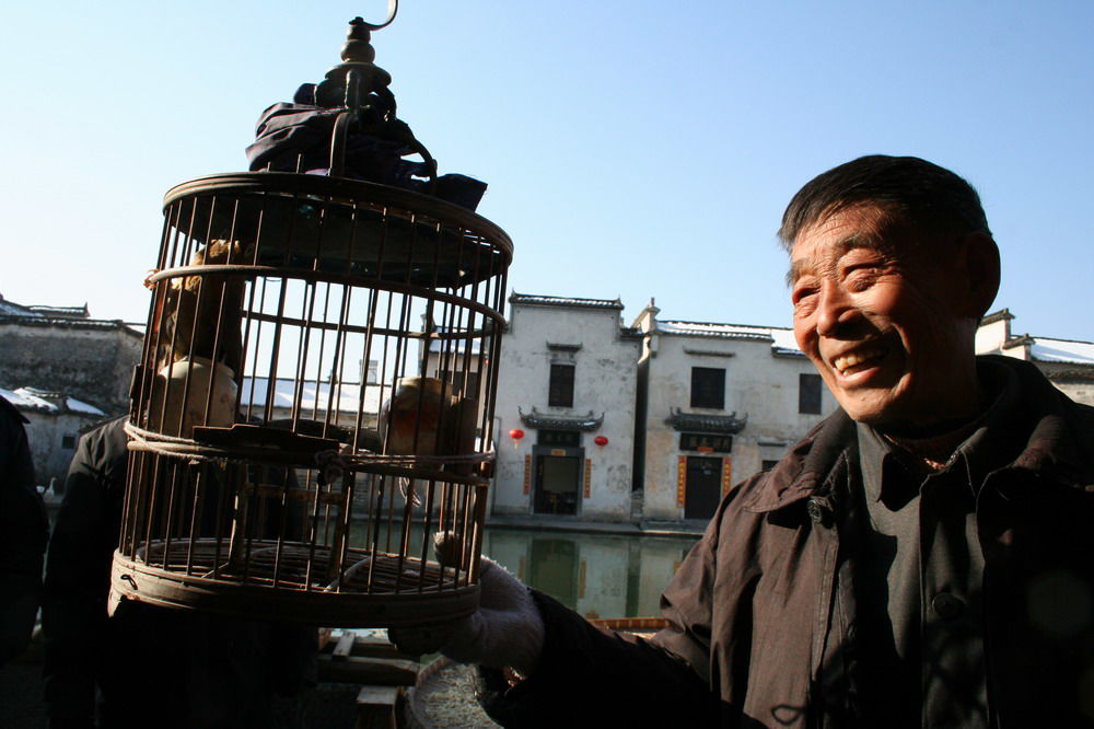 黟縣：宏村賽鳥