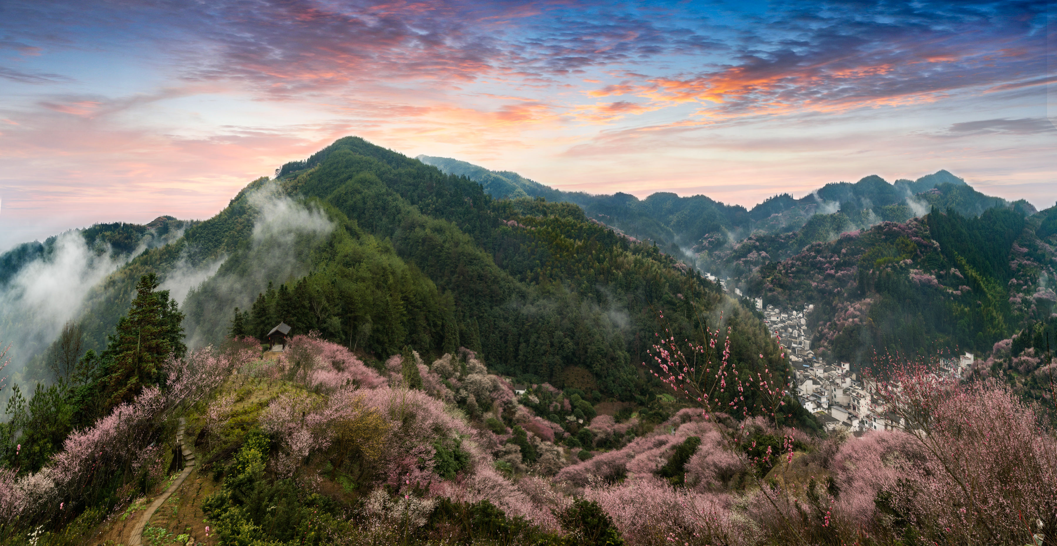 賣花漁村