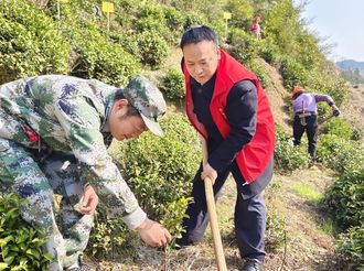 森村鄉：義務植樹為春天添彩