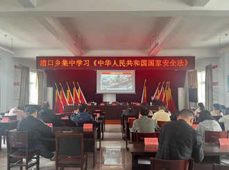 渚口鄉(xiāng)：開展全民國家安全教育日宣傳活動