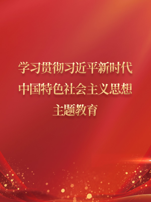 學(xué)習(xí)貫徹習(xí)近平新時(shí)代中國特色社會(huì)主義思想主題教育