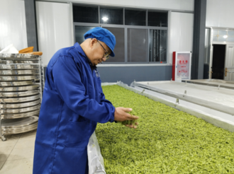 汪國平：轉(zhuǎn)型種白茶 荒地成基地