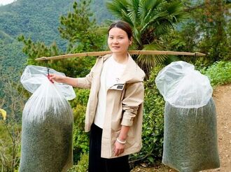 曹晶：讓農(nóng)產(chǎn)品走進(jìn)千家萬戶的“徽州姑娘”