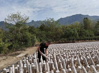 汪龍飛：農業(yè)轉型 助力糧油增產增收