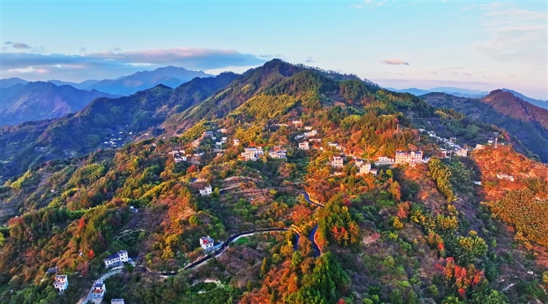 黃山初冬印象