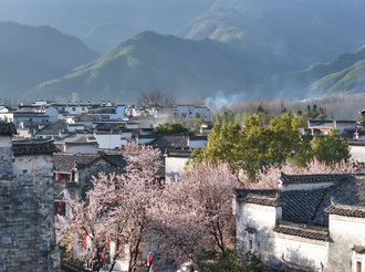月沼花事