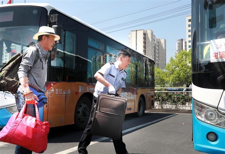 人人都是迎客松