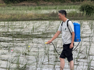 牛政：小小荸薺變身致富果