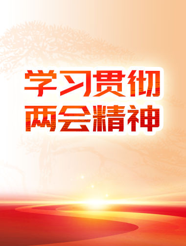 學(xué)習(xí)貫徹兩會(huì)精神