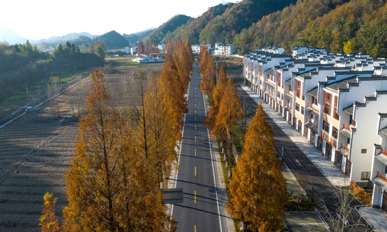 漁亭鎮：一個可以停一下的地方