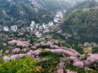 上春山：賣花漁村一片海