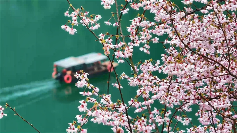花花世界