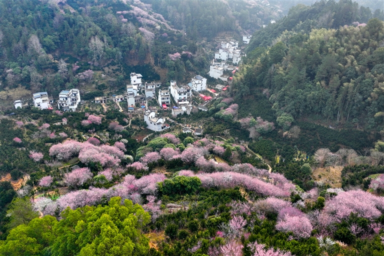不斷優化法治化營商環境  在法治軌道上推動民營經濟高質量發展（專題深思）