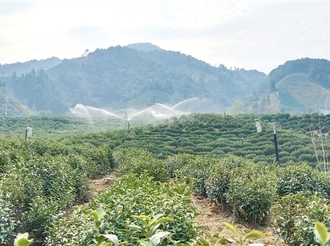 “智慧大腦”賦能黃山農業