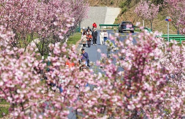 路暢景美好風光