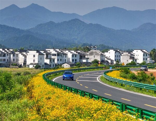芳菲漫路鄉村美