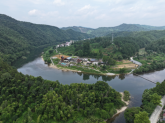 【“兩山論”的黃山鄉村實踐】蘆溪村：“小茶葉”變鄉村振興“金葉子”
