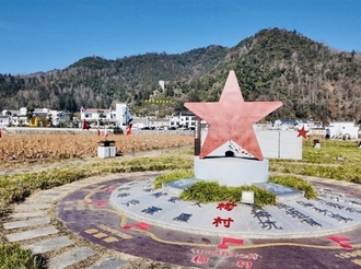 魅力柯村